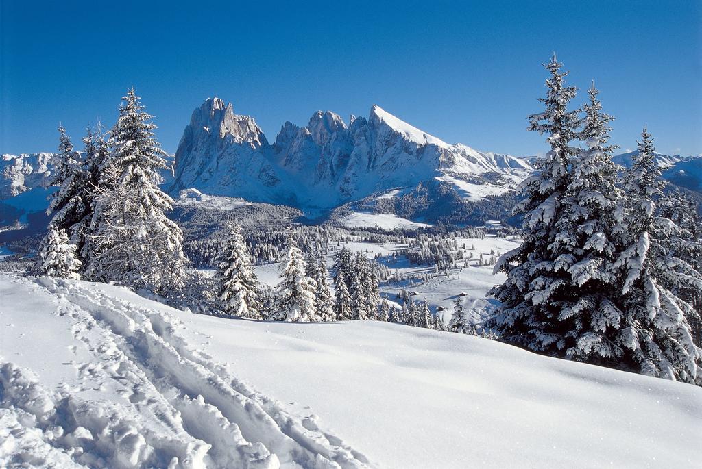 Alpin Sport Aparthotel Ortisei Bagian luar foto